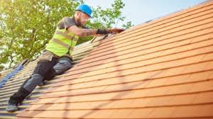 Best Roof Insulation Installation  in Port Huron, MI